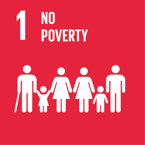SDG Icon