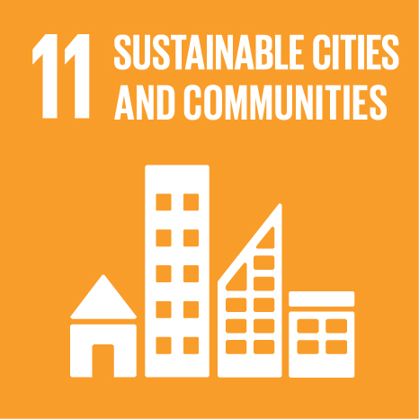 SDG Icon